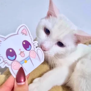 Cute White cat drawing
